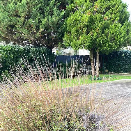 Maison Centre Ville Avec Jardin , Terrasse, Et Garage Velos La Rochelle  Exterior photo