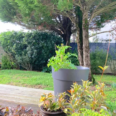 Maison Centre Ville Avec Jardin , Terrasse, Et Garage Velos La Rochelle  Exterior photo