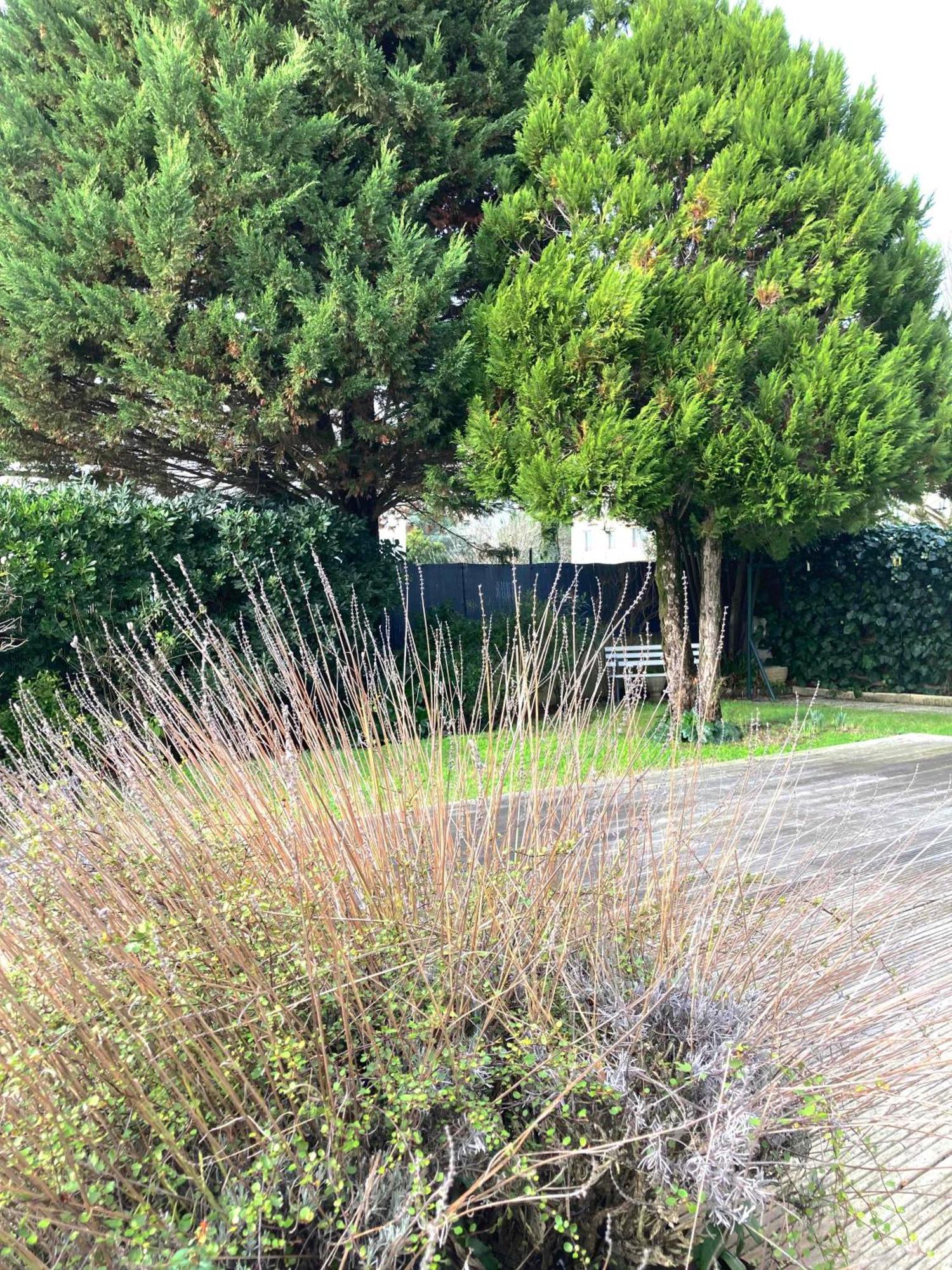Maison Centre Avec Jardin , Terrasse, Et Garage Velos Hébergement de vacances La Rochelle (Charente-Maritime)